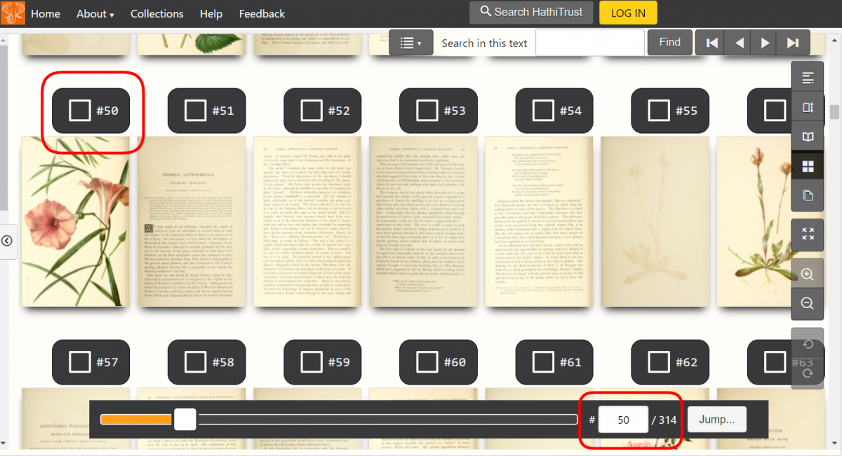 A screenshot of thumbnail mode displaying the pages of a book about plants. Red squares are drawn around the page scan number above a page and in the Jump to Page Number feature.