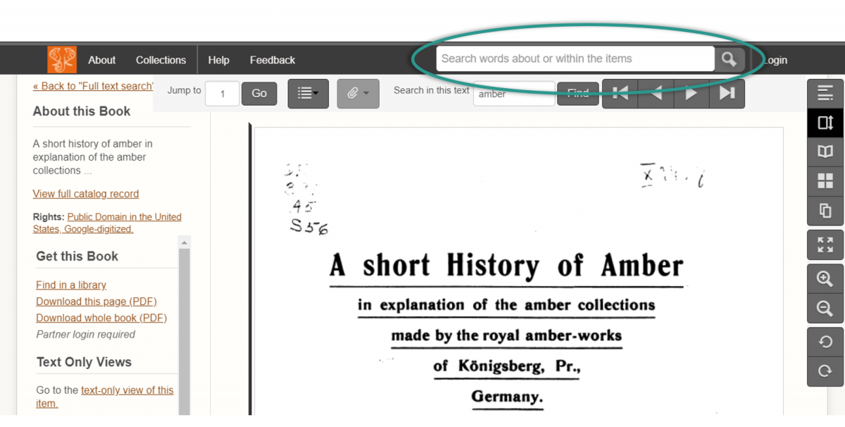 Screenshot of a book “A Short History of Amber” in the previous site. A search field inviting users to “Search words about or within the items” is embedded into the header menu. 